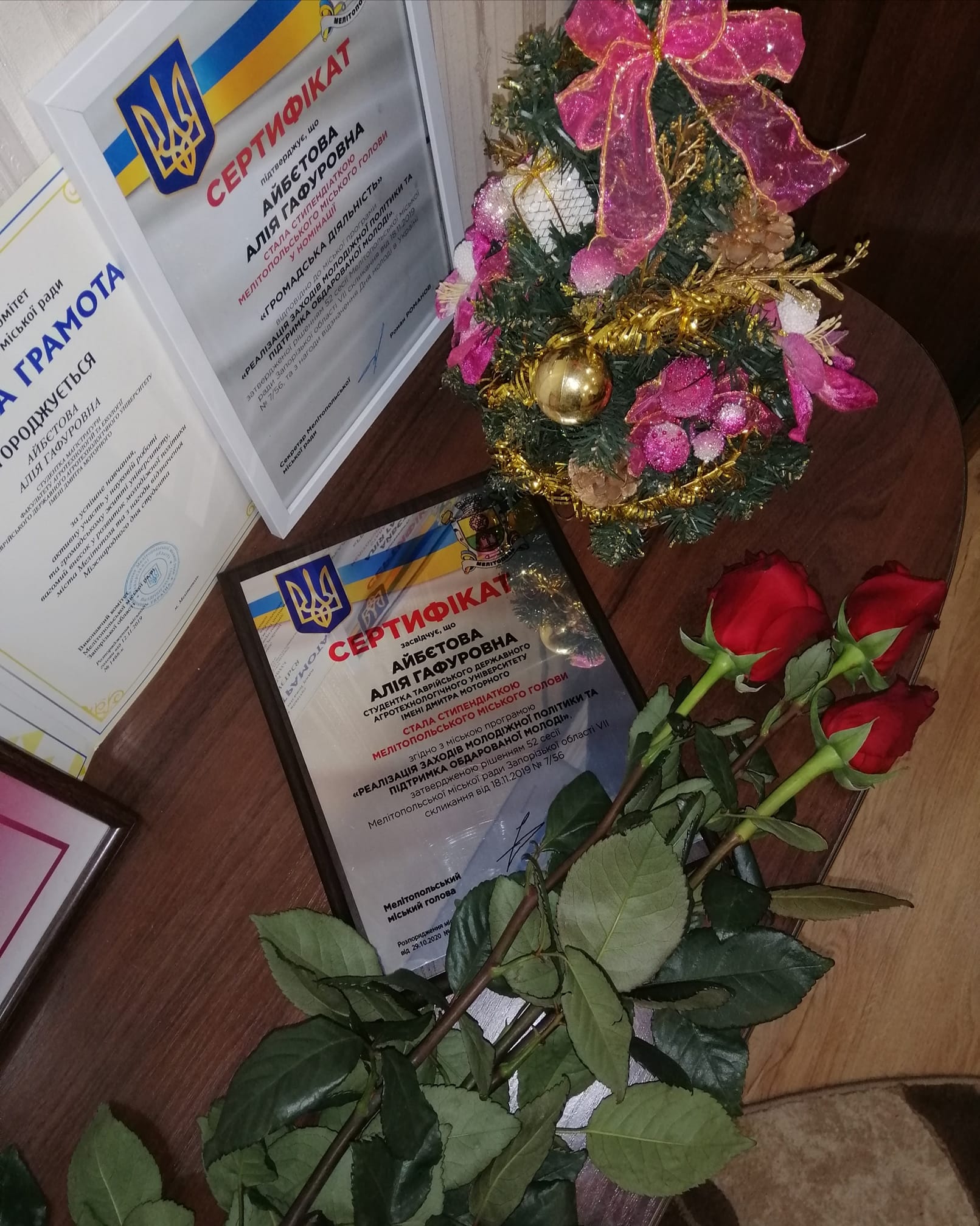 132688987_230382295350129_4088211511897659489_o