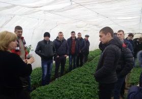 20160322_141314-1-279x210