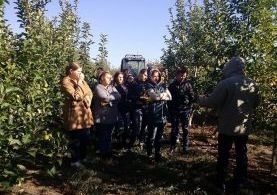 22091413_160540297861192_1142100940_n-277x207