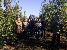 22091413_160540297861192_1142100940_n-277x207