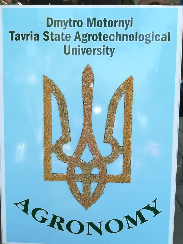 60338004_457290805045583_2499449530643120128_n