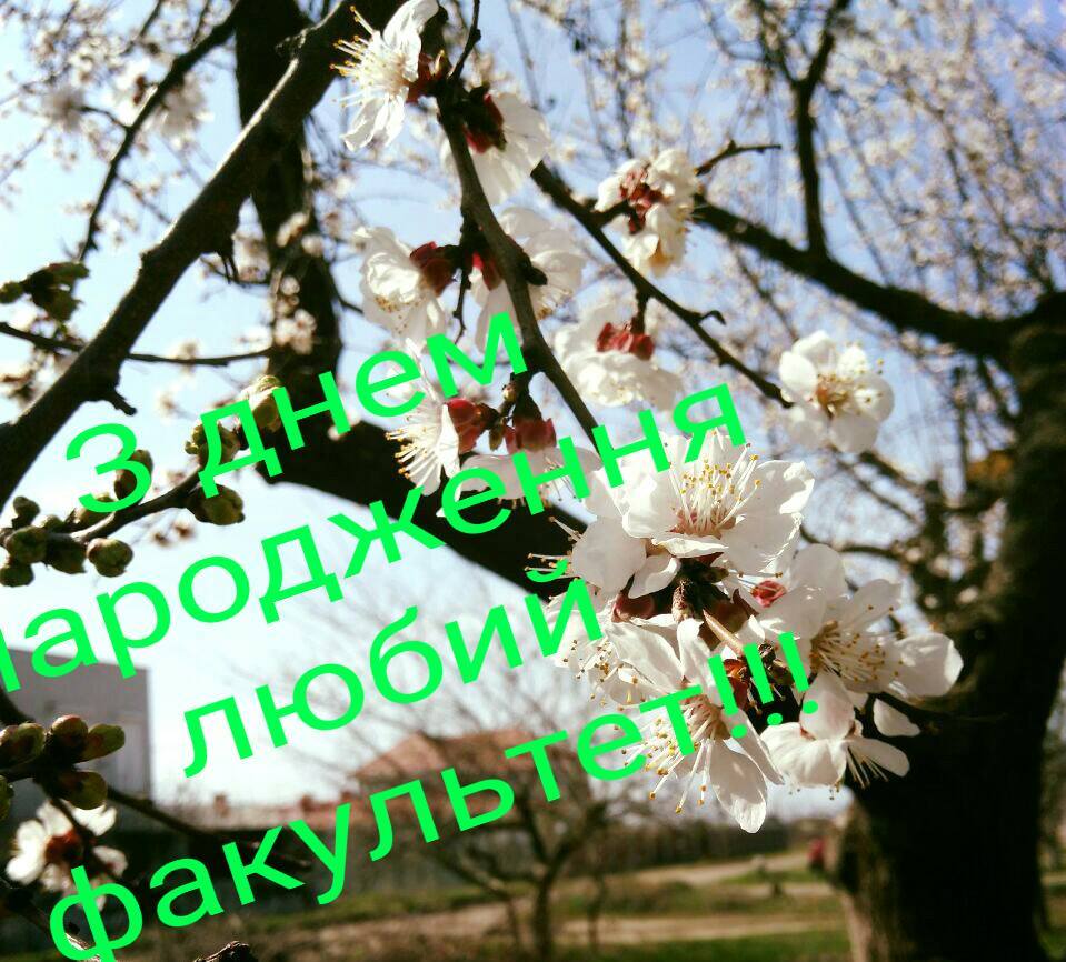 93855392_647151422532265_5440193258594500608_n