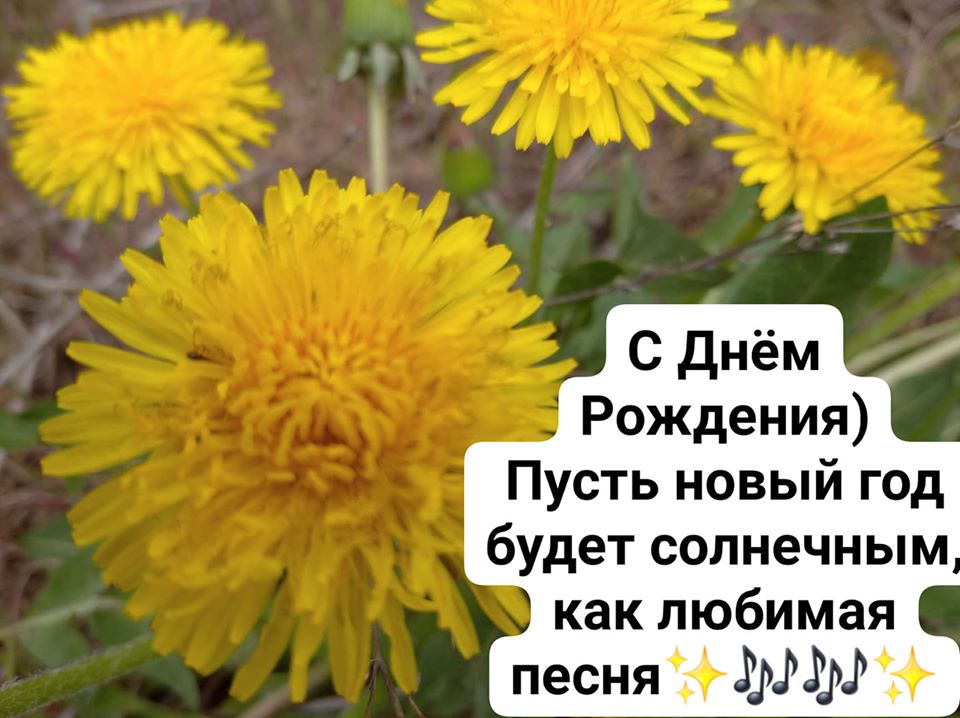 94134357_249056976479218_3936560950982737920_o