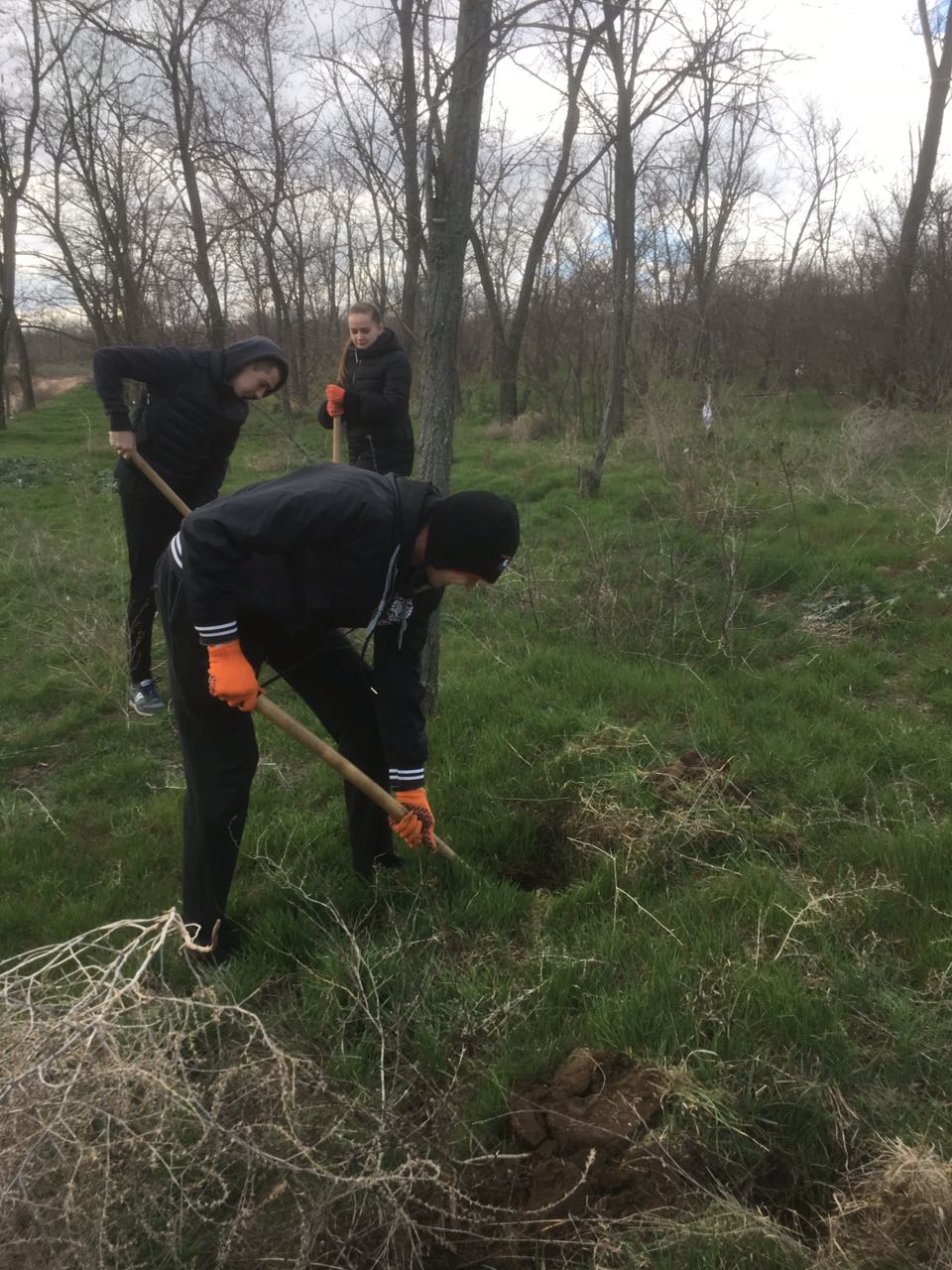 IMG-706ed46d38c4e224c4ccb22cec3a2026-V