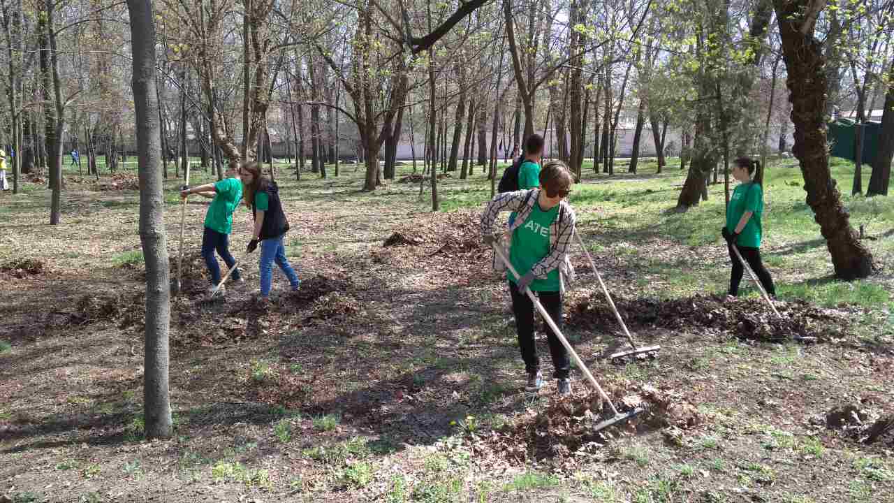 IMG-d24359c6930e1d8822d2d3b3dff1a26a-V