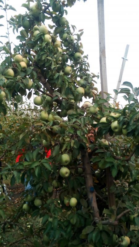 img_20171012_095809-e1508003169336