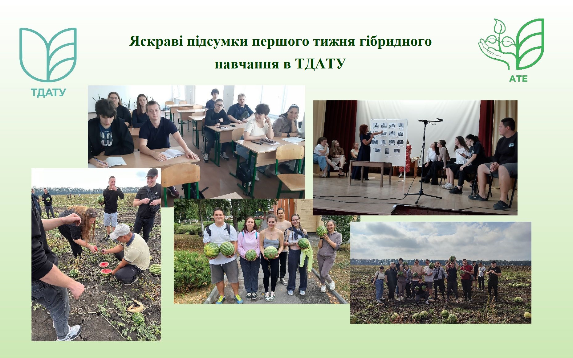 Новое изображение