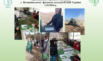 Новое изображение