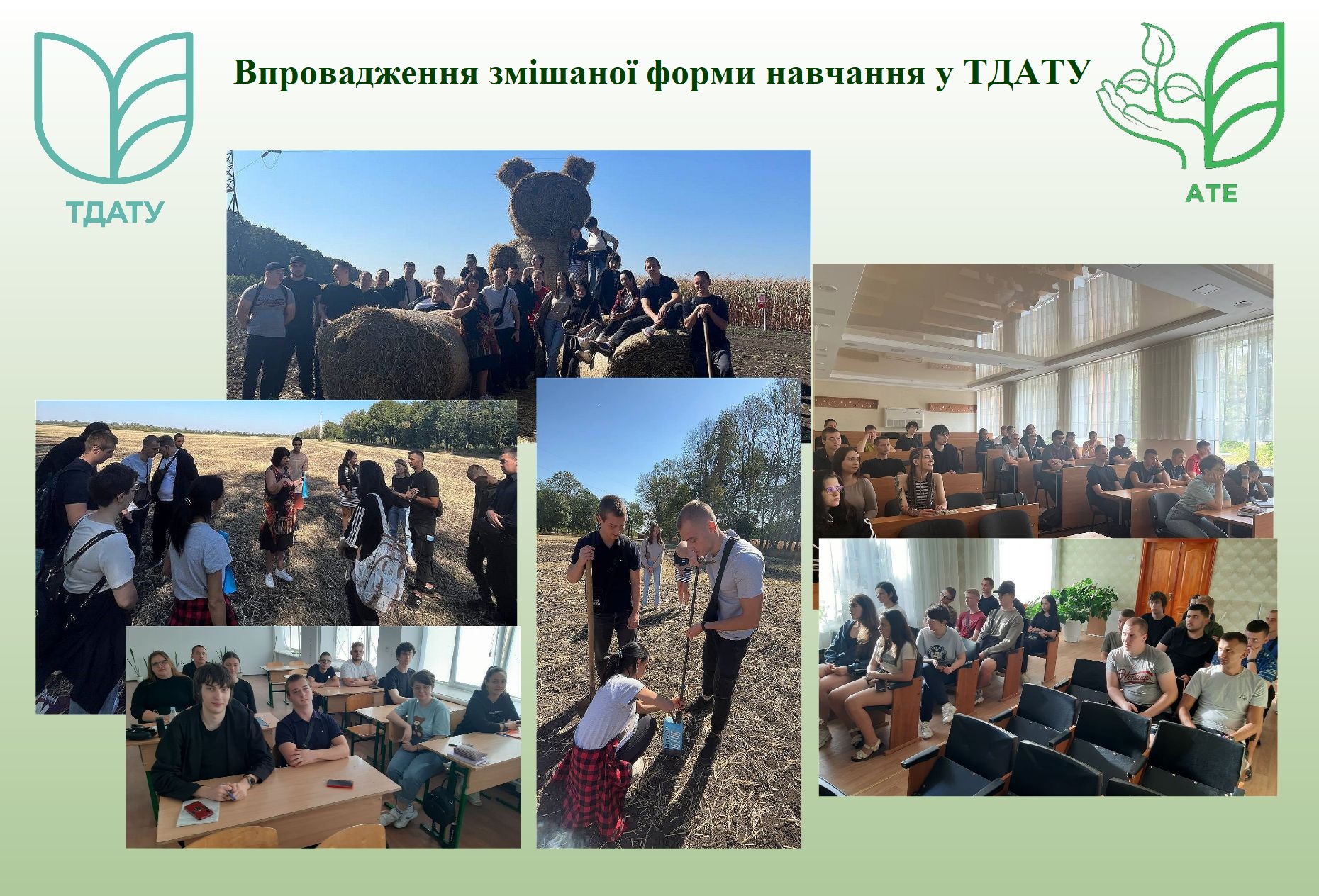 Новое изображение(1)