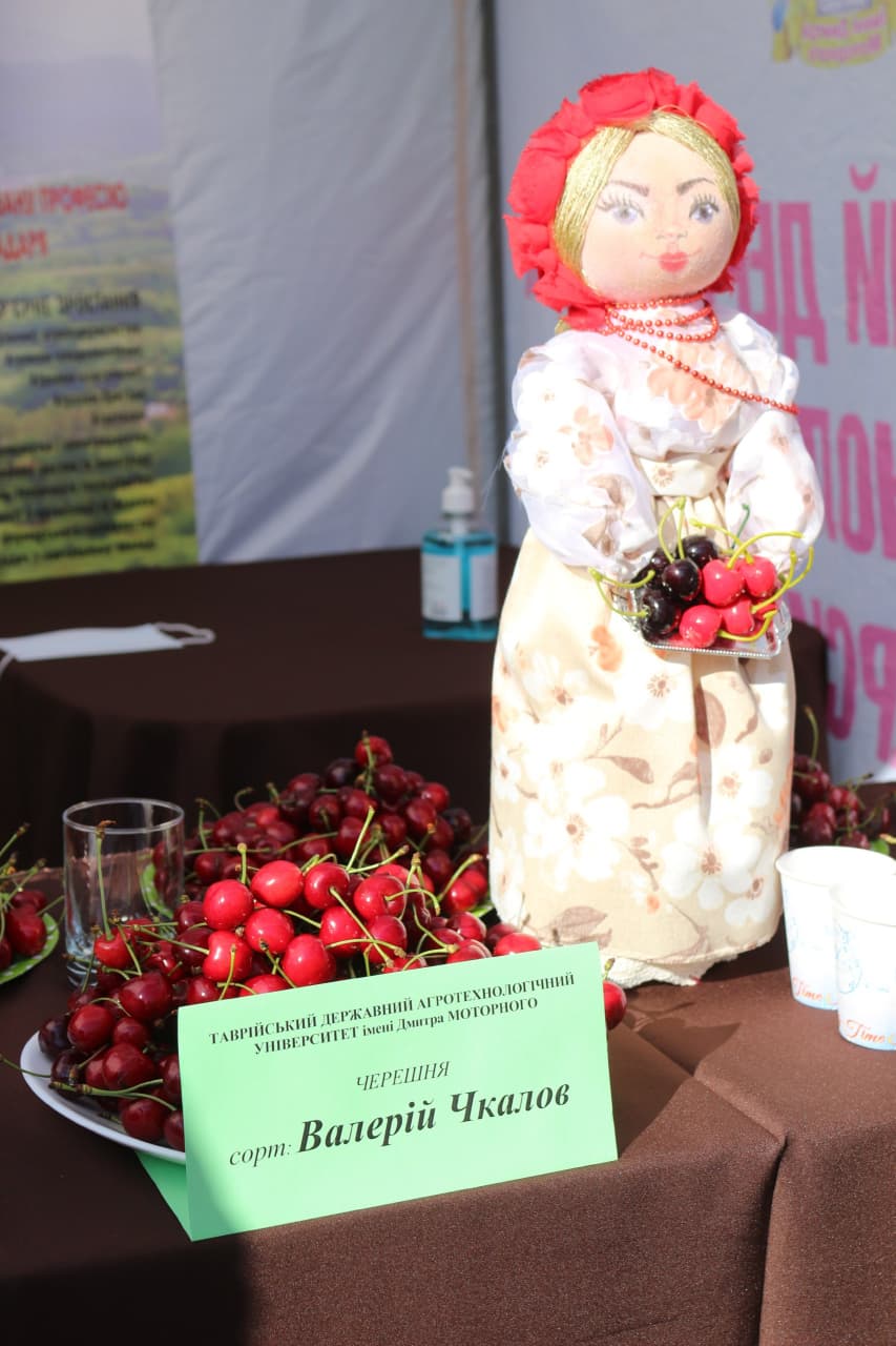 photo_2021-06-20_19-09-57 (2)