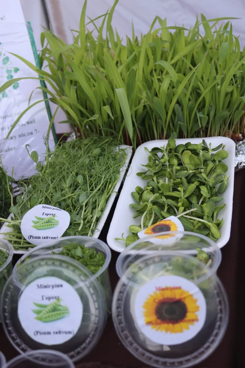 photo_2021-09-25_13-01-42