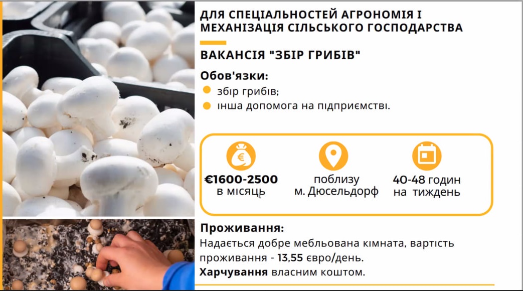 photo_2024-02-14_18-05-32