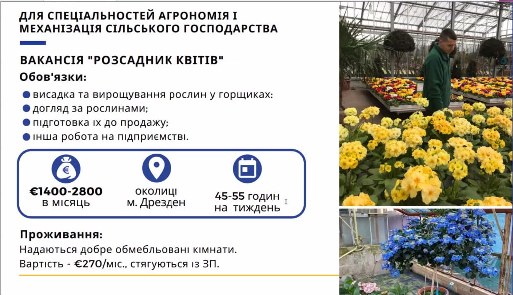 photo_2024-02-14_18-05-36