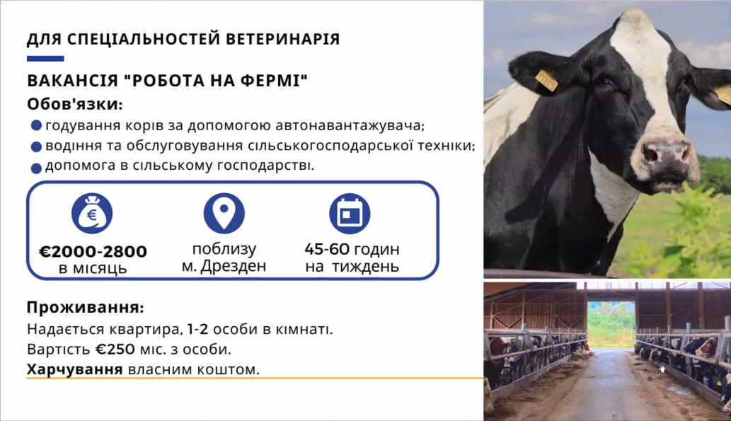 photo_2024-02-14_18-05-53