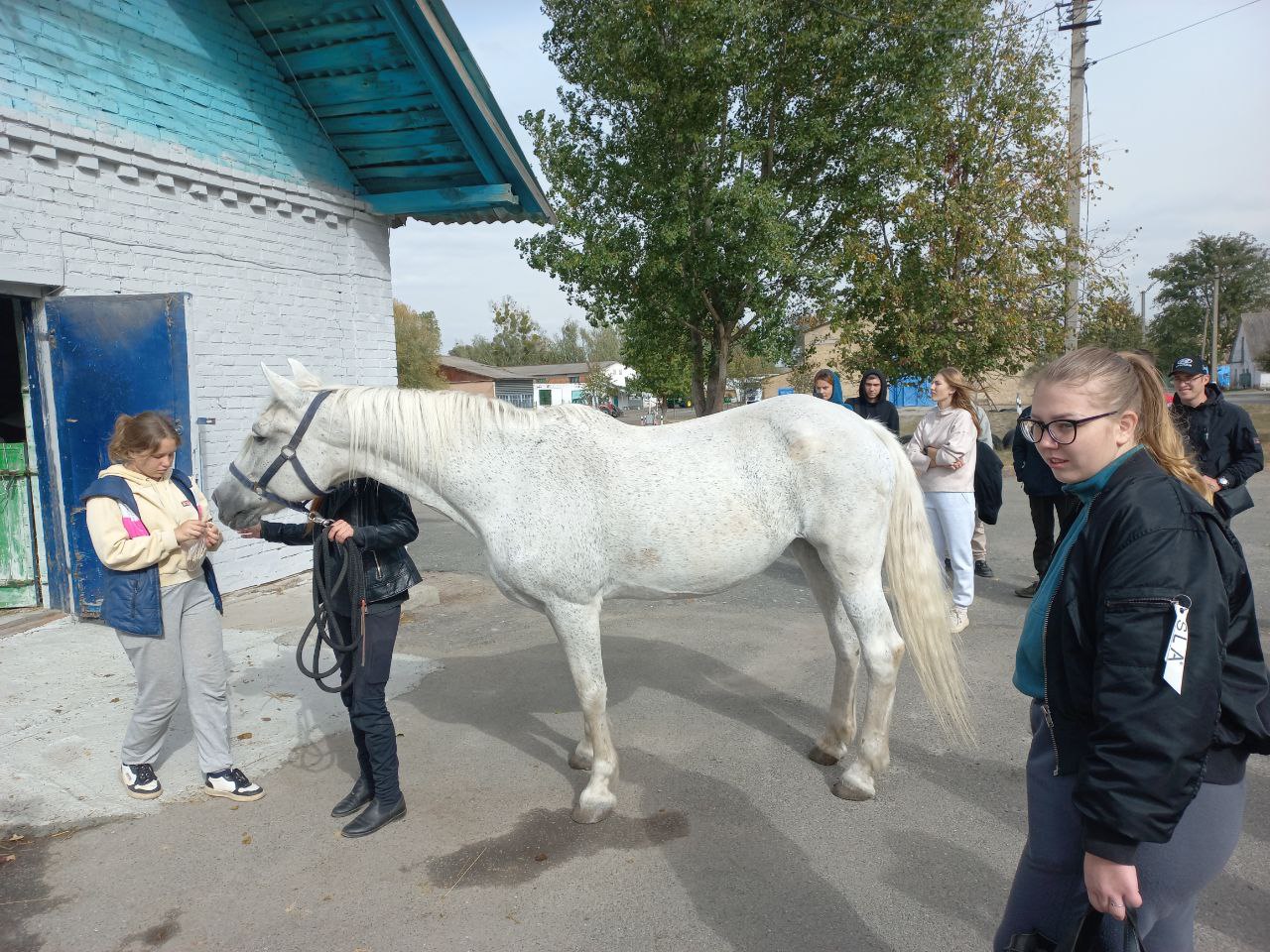 photo_2024-10-01_22-36-17