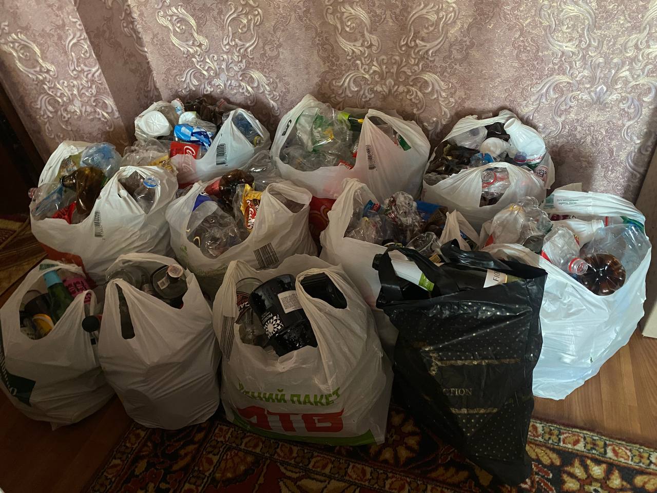 photo_2024-10-24_19-30-57