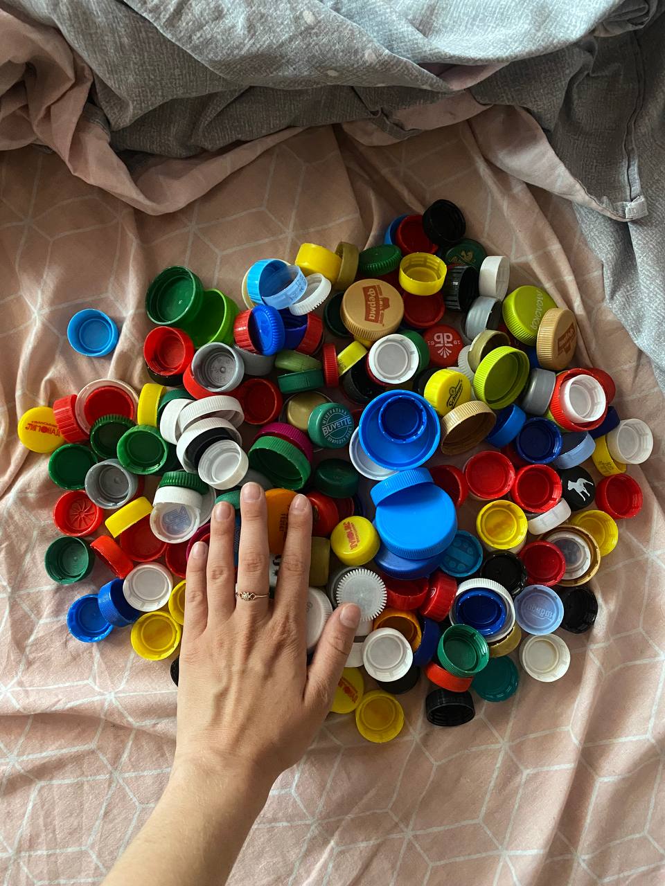 photo_2024-10-24_19-31-05