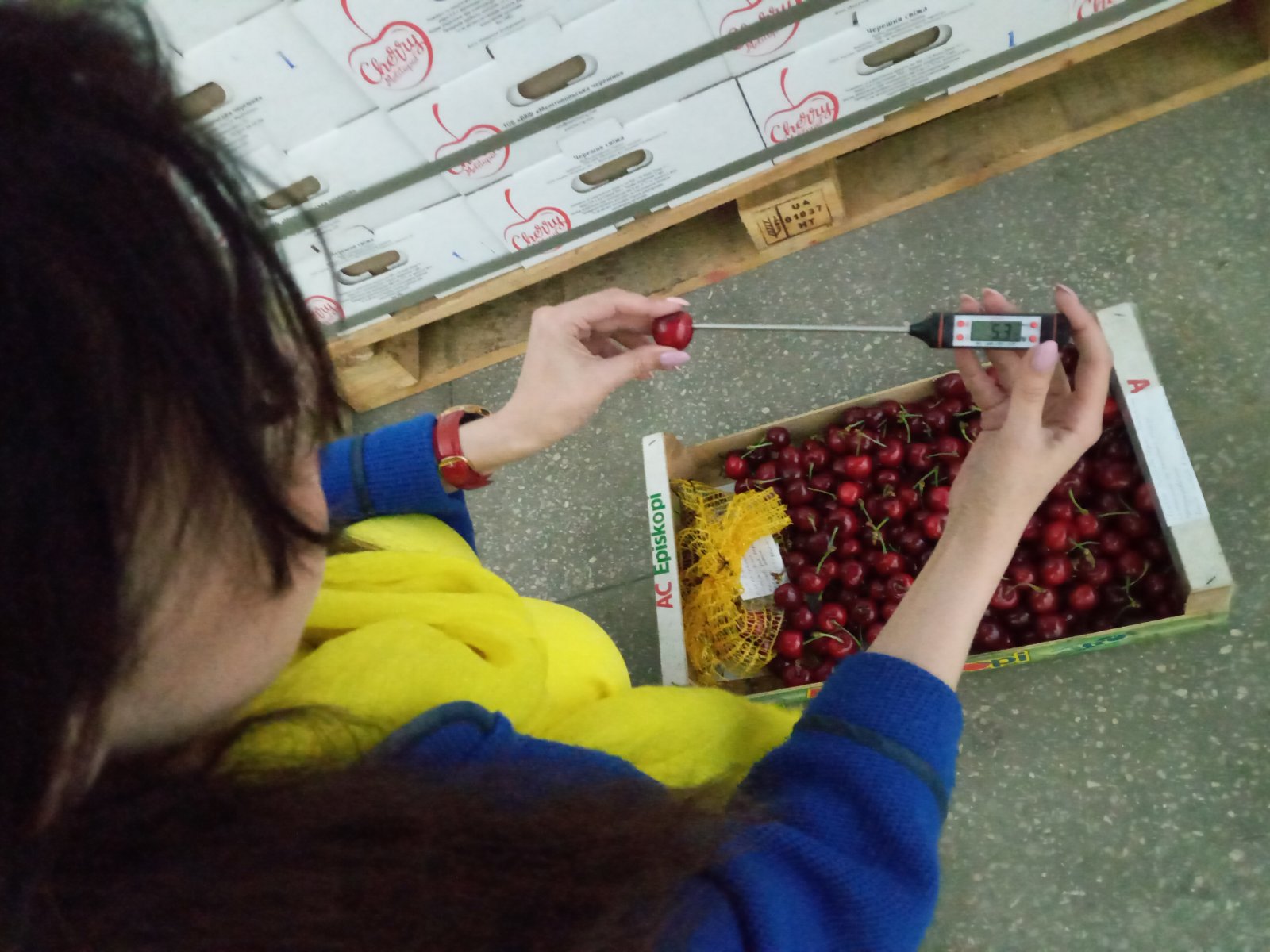 изображение_viber_2020-06-17_13-14-31