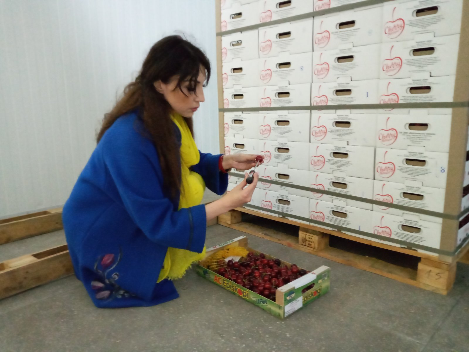 изображение_viber_2020-06-17_13-14-36