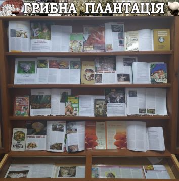 1 1 Грибна плантація