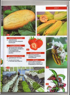 13Овочі та фрукти(зміст)