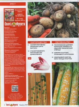 14. Овочі та фрукти зміст 1