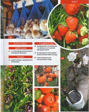 15. овочі та фрукти зміст 2