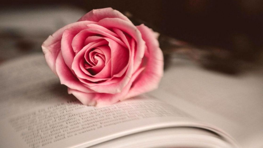 e8ee7f7b37526edf7b5622593d916046