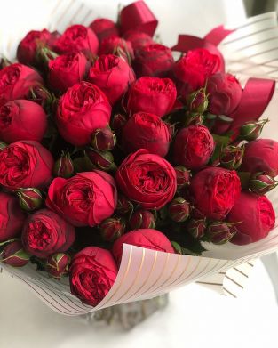 flowerslovers.ru_69025633_127252618581244_58631390960136923_n