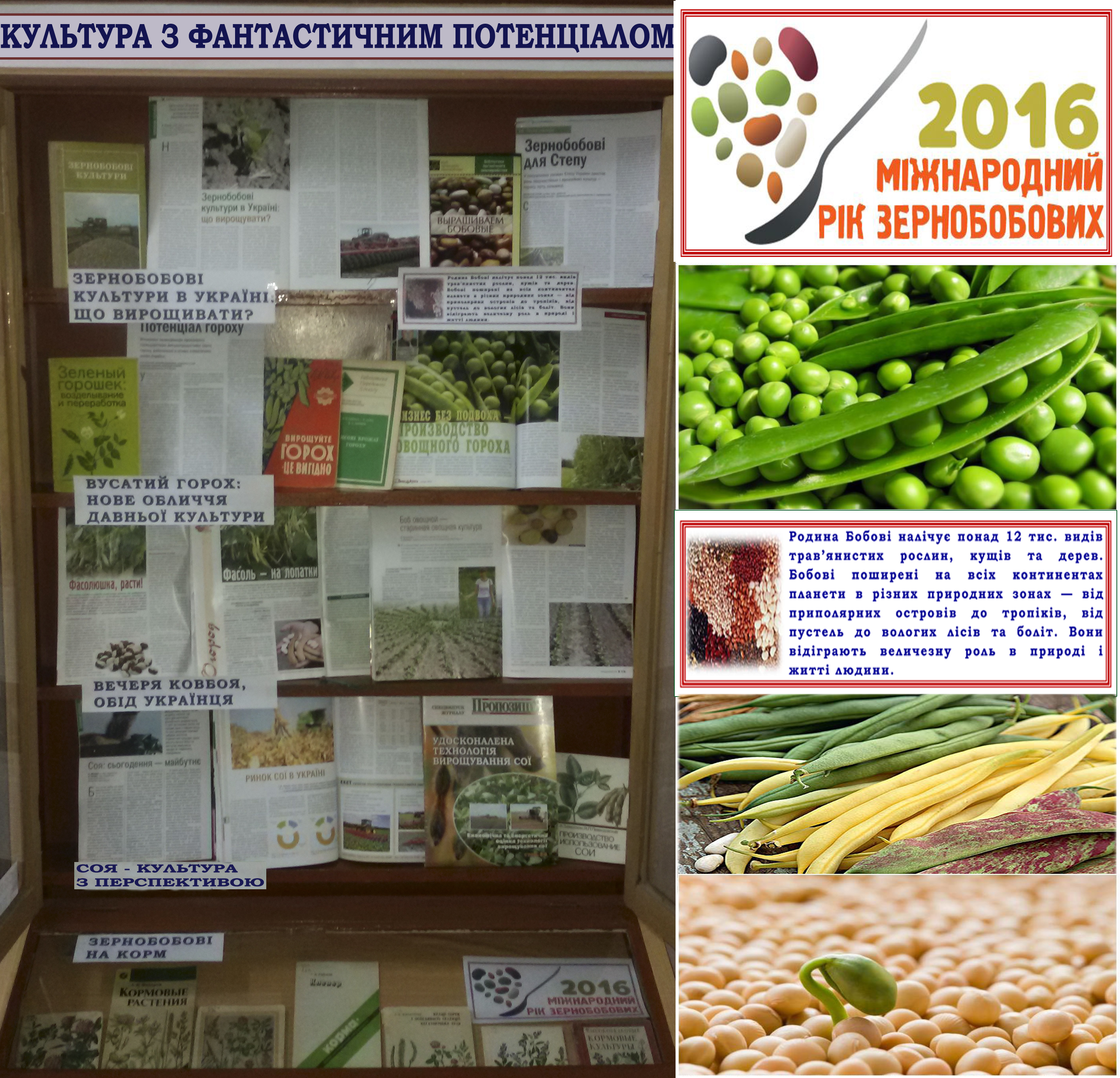 фото на сайт