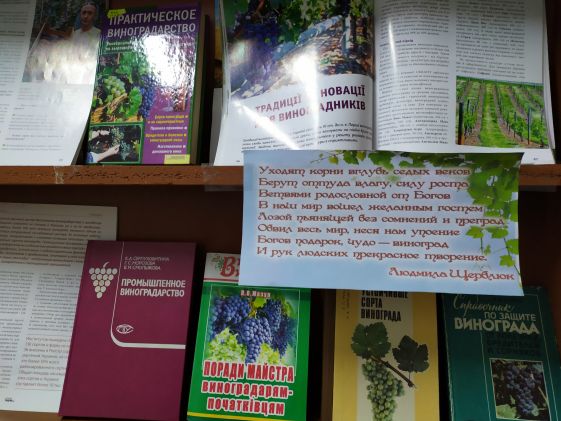 фото виставки1