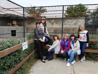 IMG-22aa0eb9fca21cc57909c9349a1a639d-V