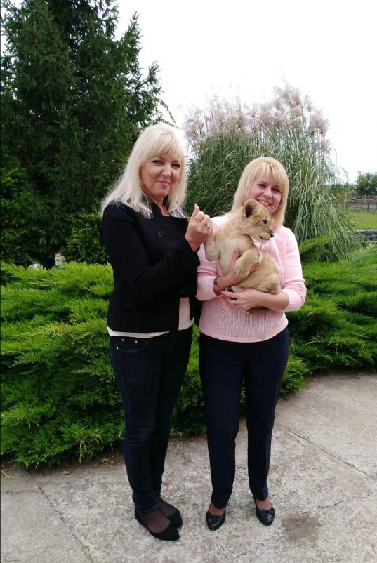 IMG_20180928_203533_198