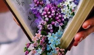 Люди схожі на книги. Одні обманюють обкладинкою,інші – дивують своїм змістом.