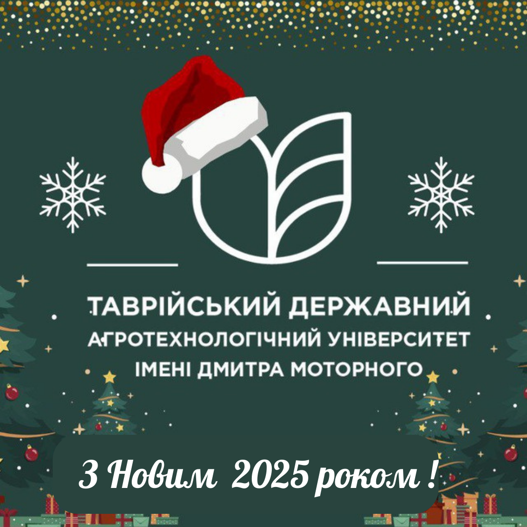 З Новим 2025 роком !