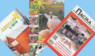 ЗАСТАВКА НА САЙТ