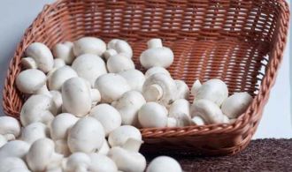 заставка на сайт