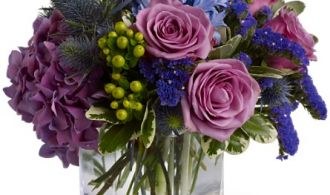 1303932759_fiol-rozy