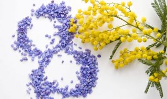 26539366_m-e1488787199592