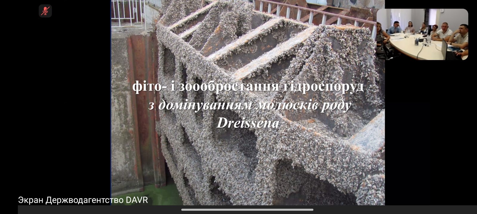 0-02-05-333b1dbb3020a292226f3bef68afe876fa11bae908c5f1d919a5a69473881eb5_e798bc5ec4e8109d