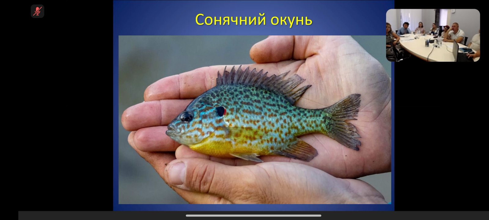 0-02-05-82a1612fe79f606b5a4de07f1ae58b8d4544a2a32309653fb4ceac1cb9efa7eb_19594545aca26f3e