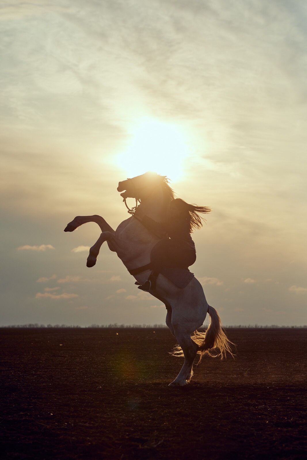 0-02-05-f616ae9c4c69ded0897cd7bf2daad238de0c156a6b1ff5cd811100affac6ba6e_ea161c2ee9a791e5