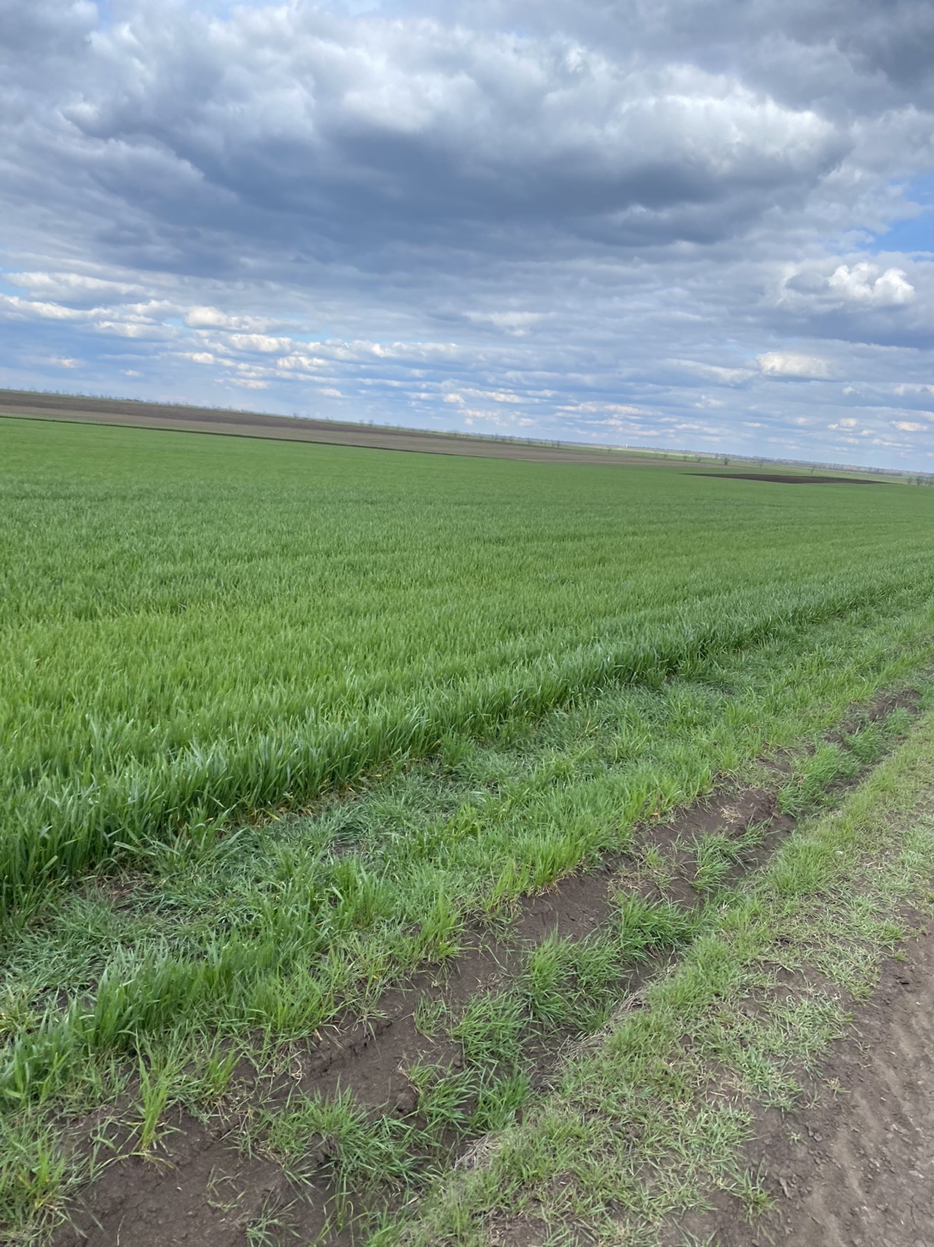 0-02-0a-8340cc0fb9010cf88c52a8dcbb644a1320b464e2258d7e288d0157f1ac7a0eaf_289e4e030de92f0a