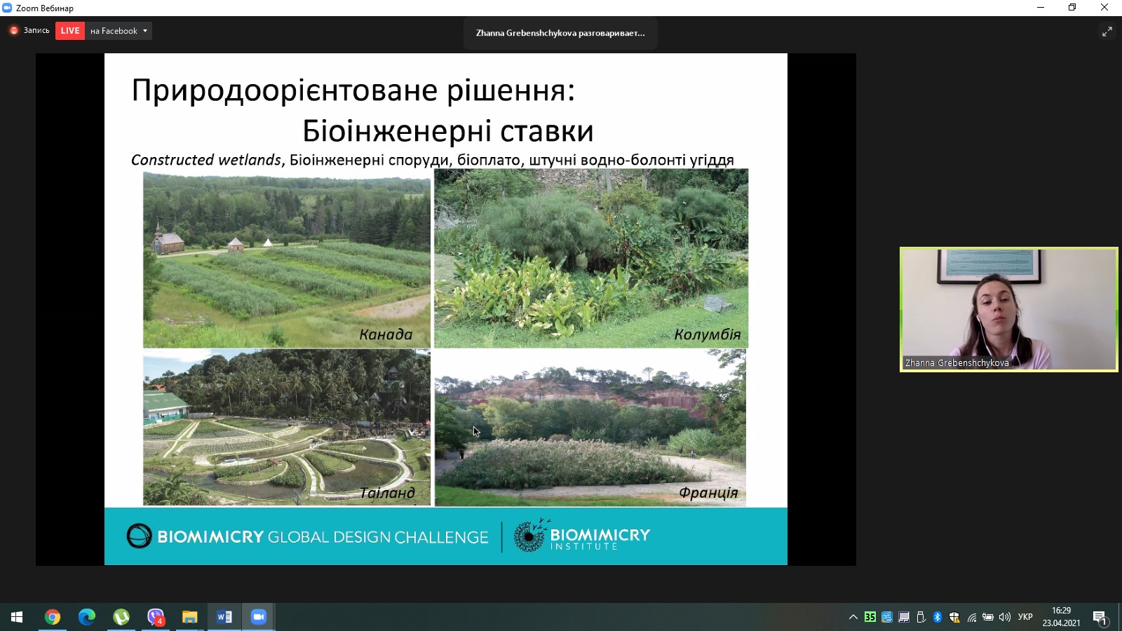 Біомімікрія 2