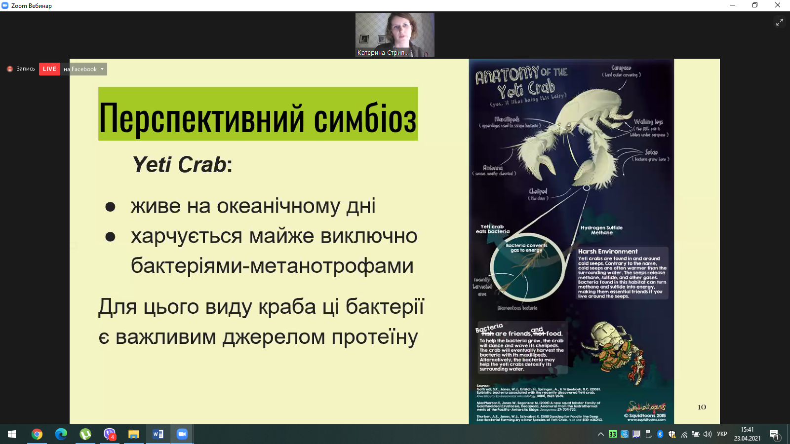 Біомімікрія 3.jpg