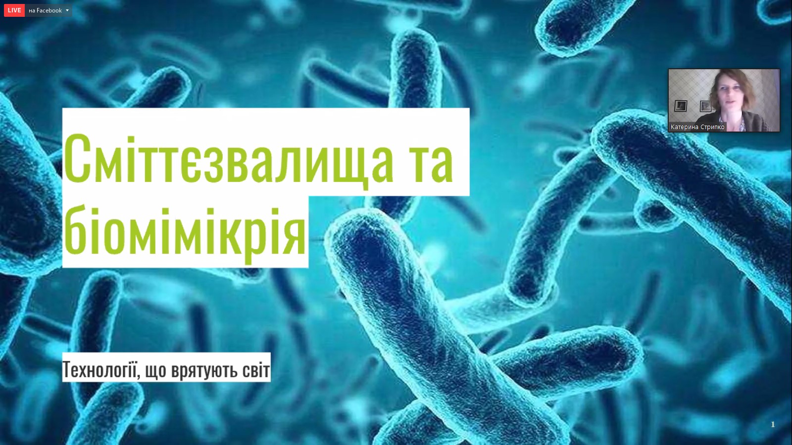 Біомімікрія 4