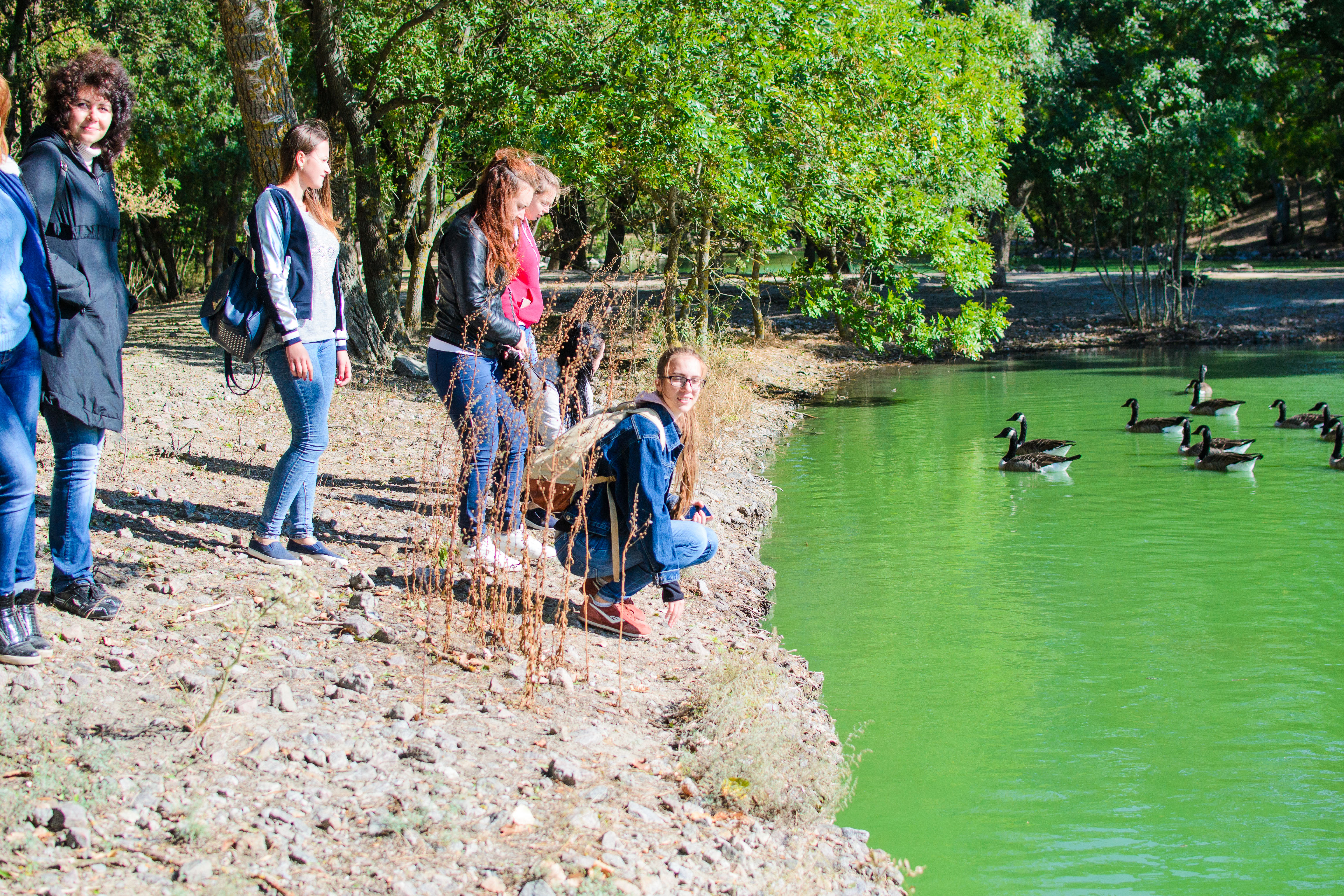 DSC_0332 - копия