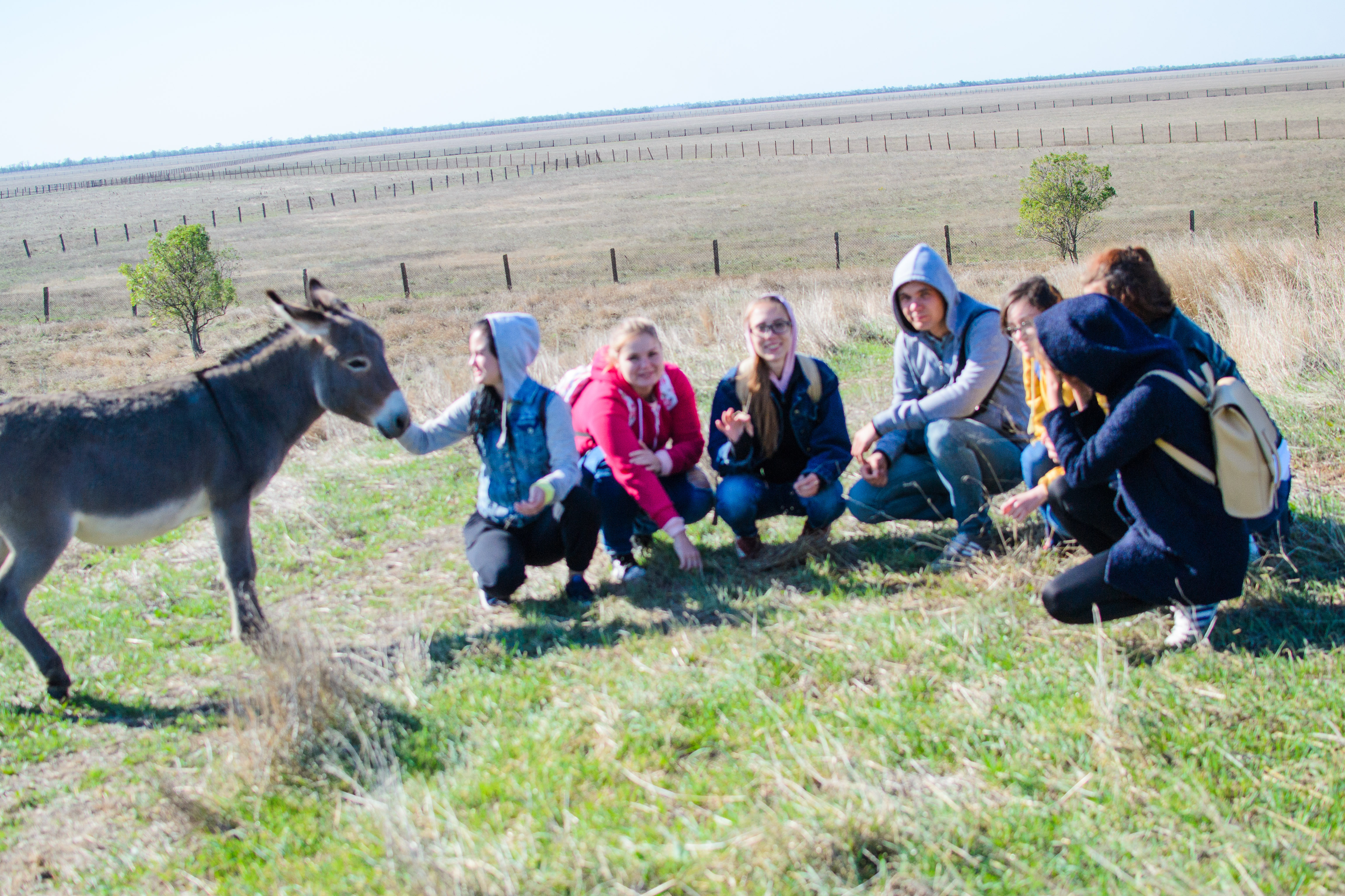 DSC_0384 - копия