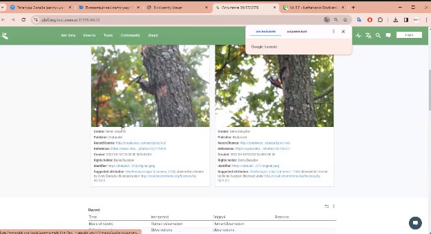 photo_2024-02-20_16-50-47