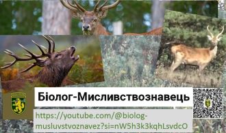 photo_2024-11-01_02-24-43 (2)